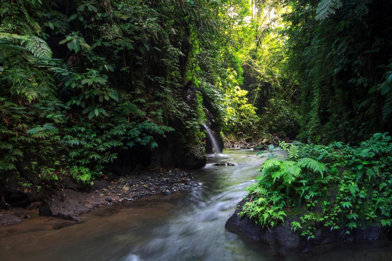 Bali Jungle Huts