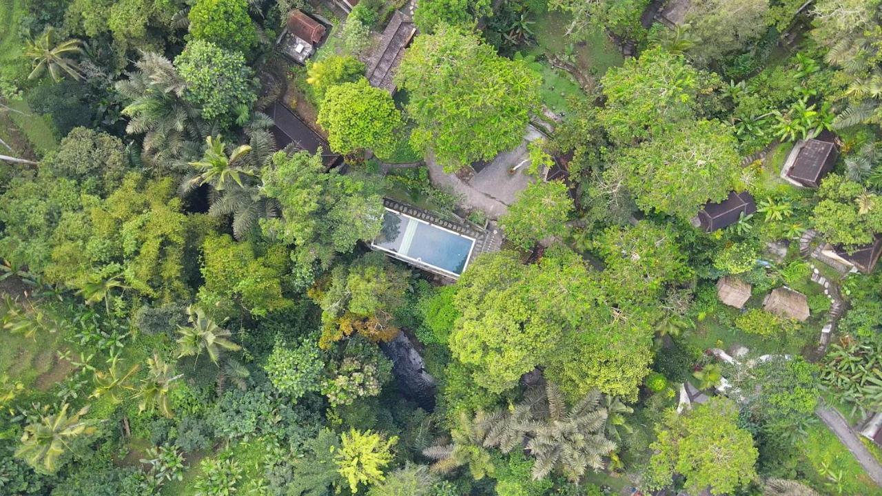 Bali Jungle Huts