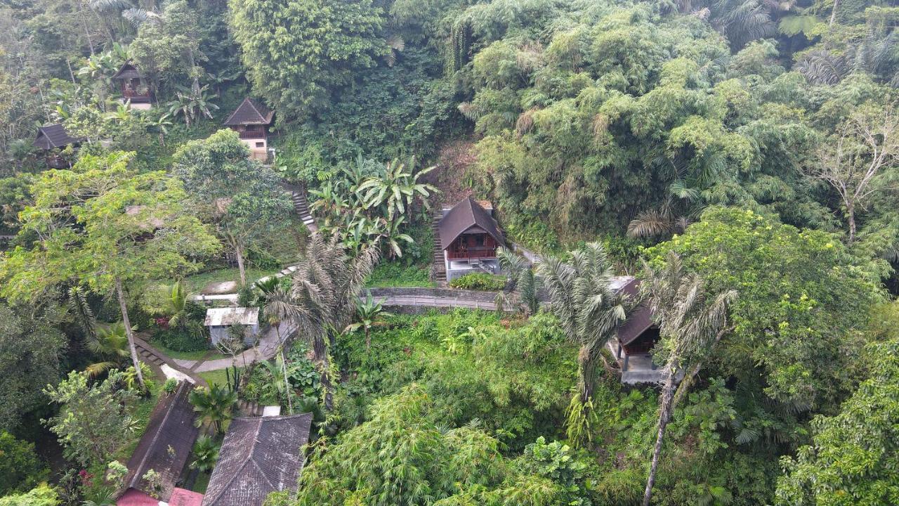 Hotel Bali Jungle Huts