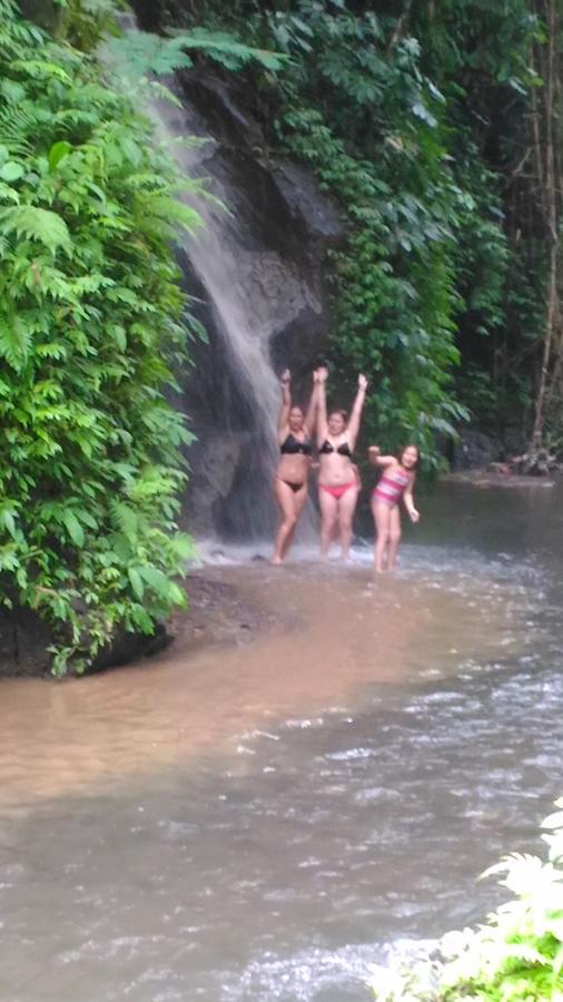 Hotel Bali Jungle Huts 3*