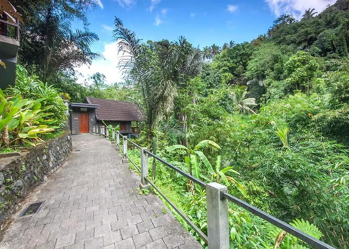Bali Jungle Resort