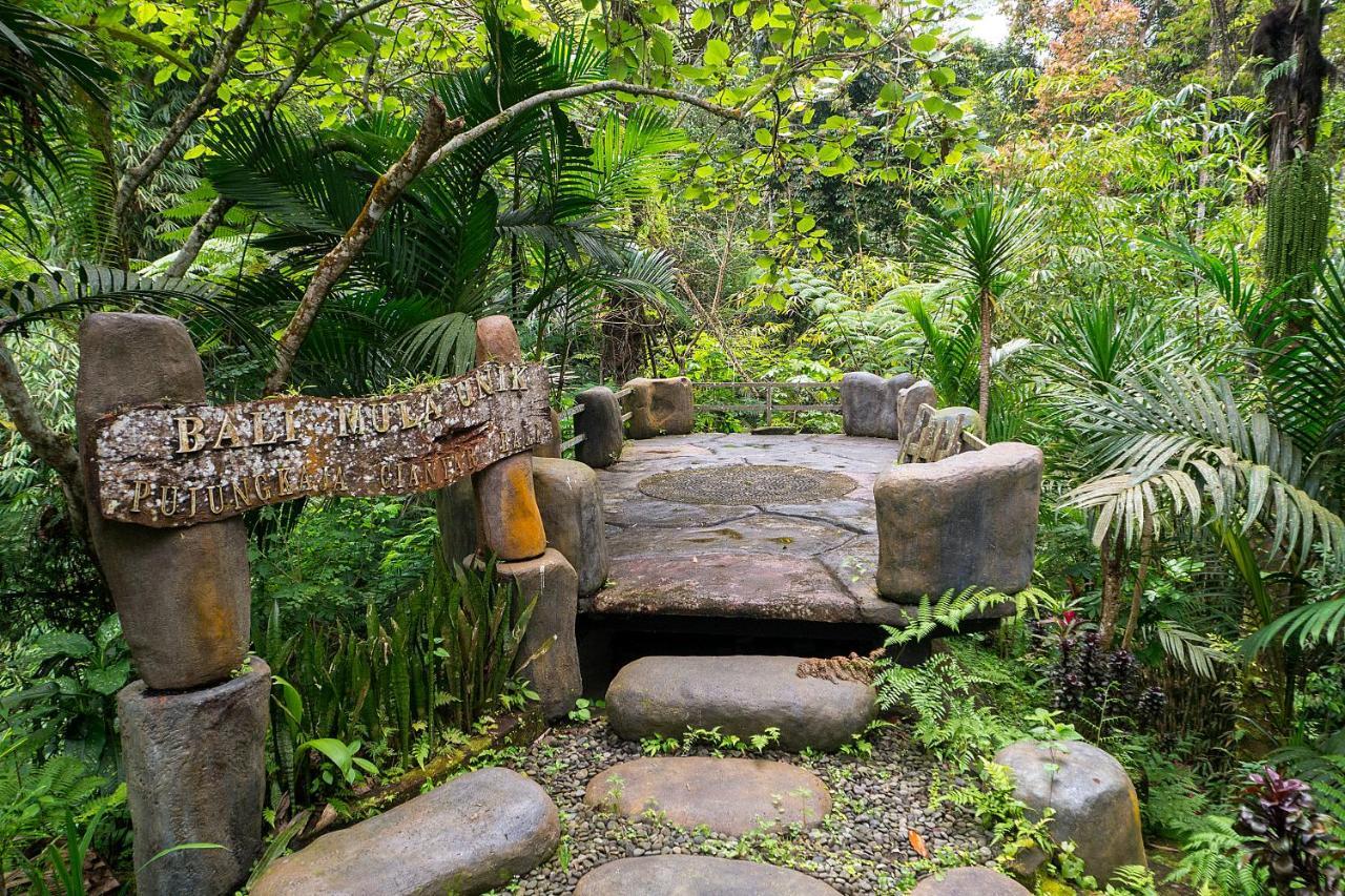 Bali Jungle