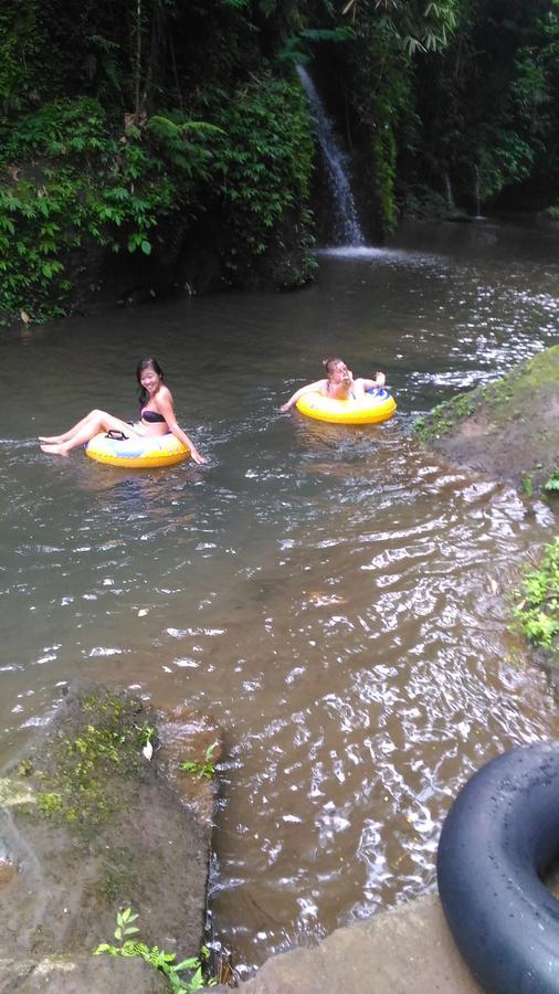 Bali Jungle Tegallalang (Bali)