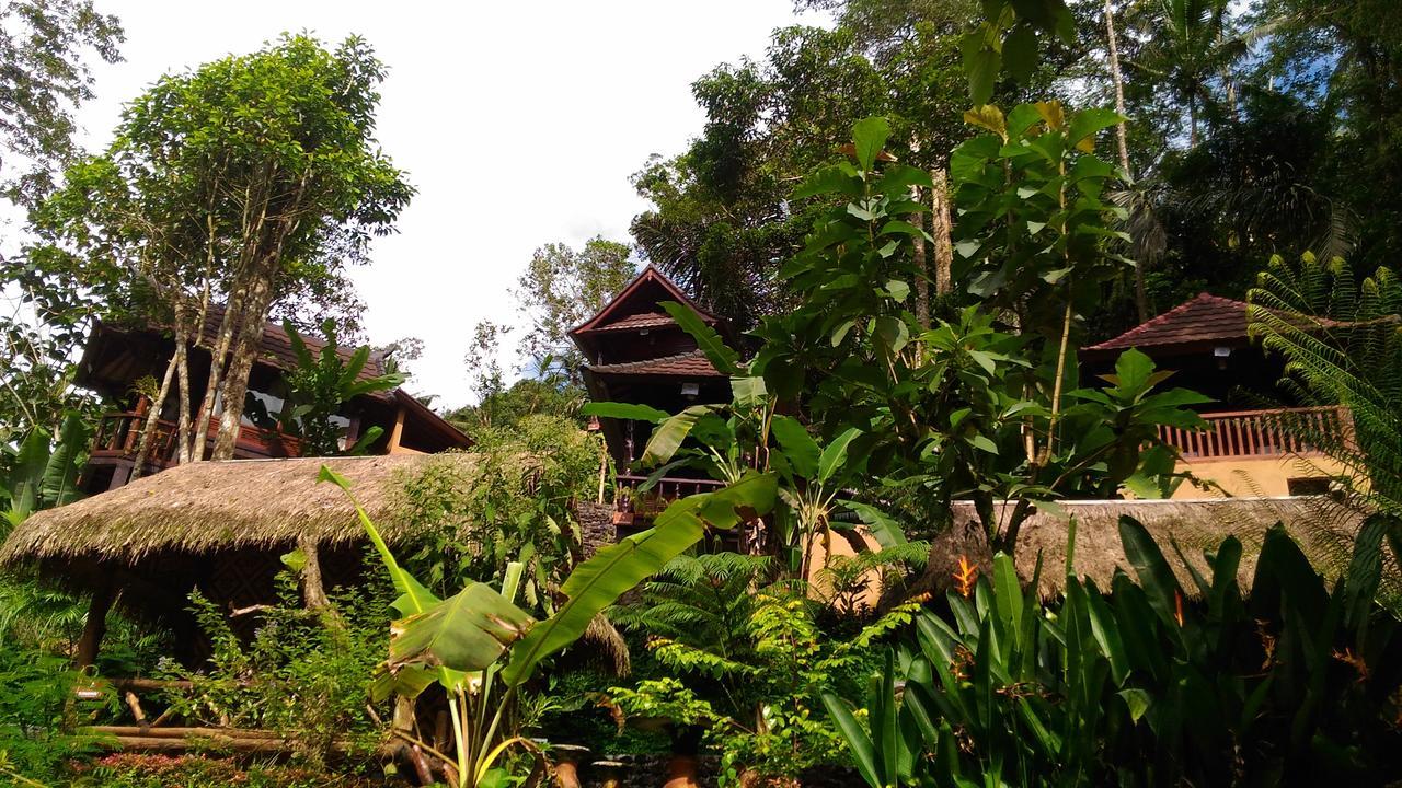 Bali Jungle Hotel