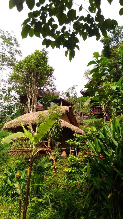 Hotel Bali Jungle