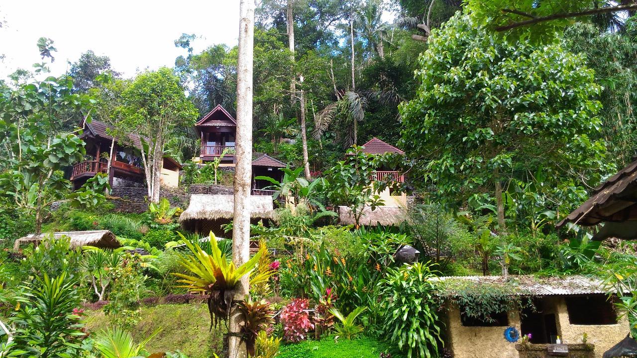 Bali Jungle Tegallalang (Bali)