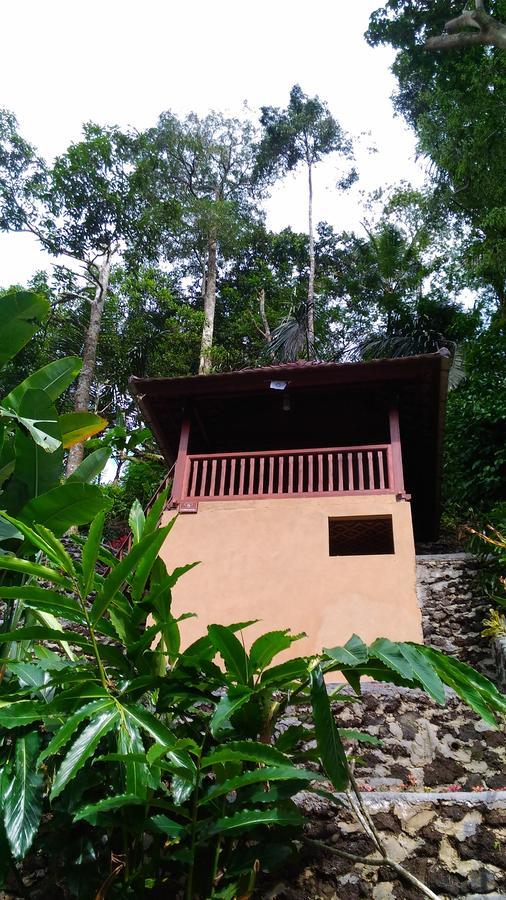 Hotel Bali Jungle Tegallalang (Bali)
